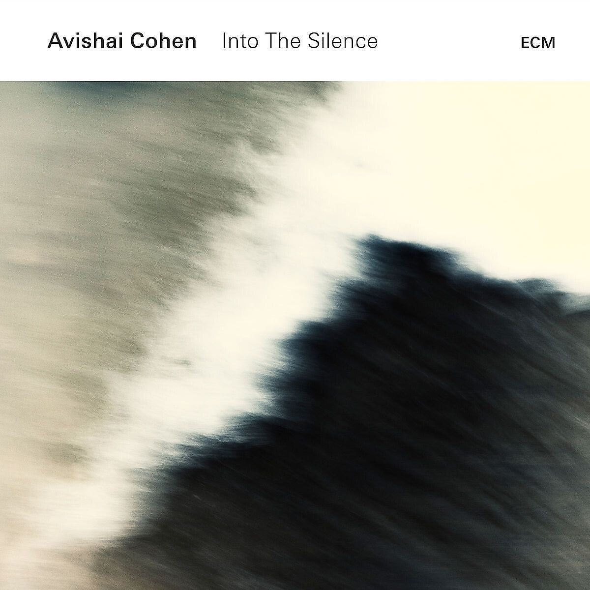 Avishai Cohen Into The Silence Vinyl 2LP 379186
