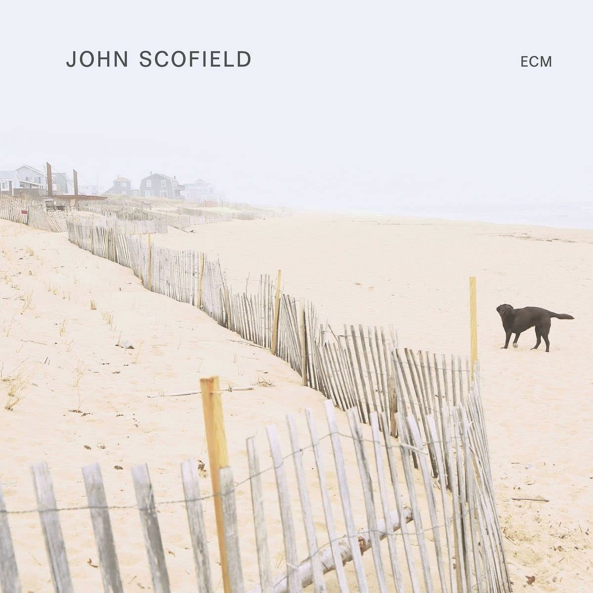 John Scofield John Scofield Vinyl 247018