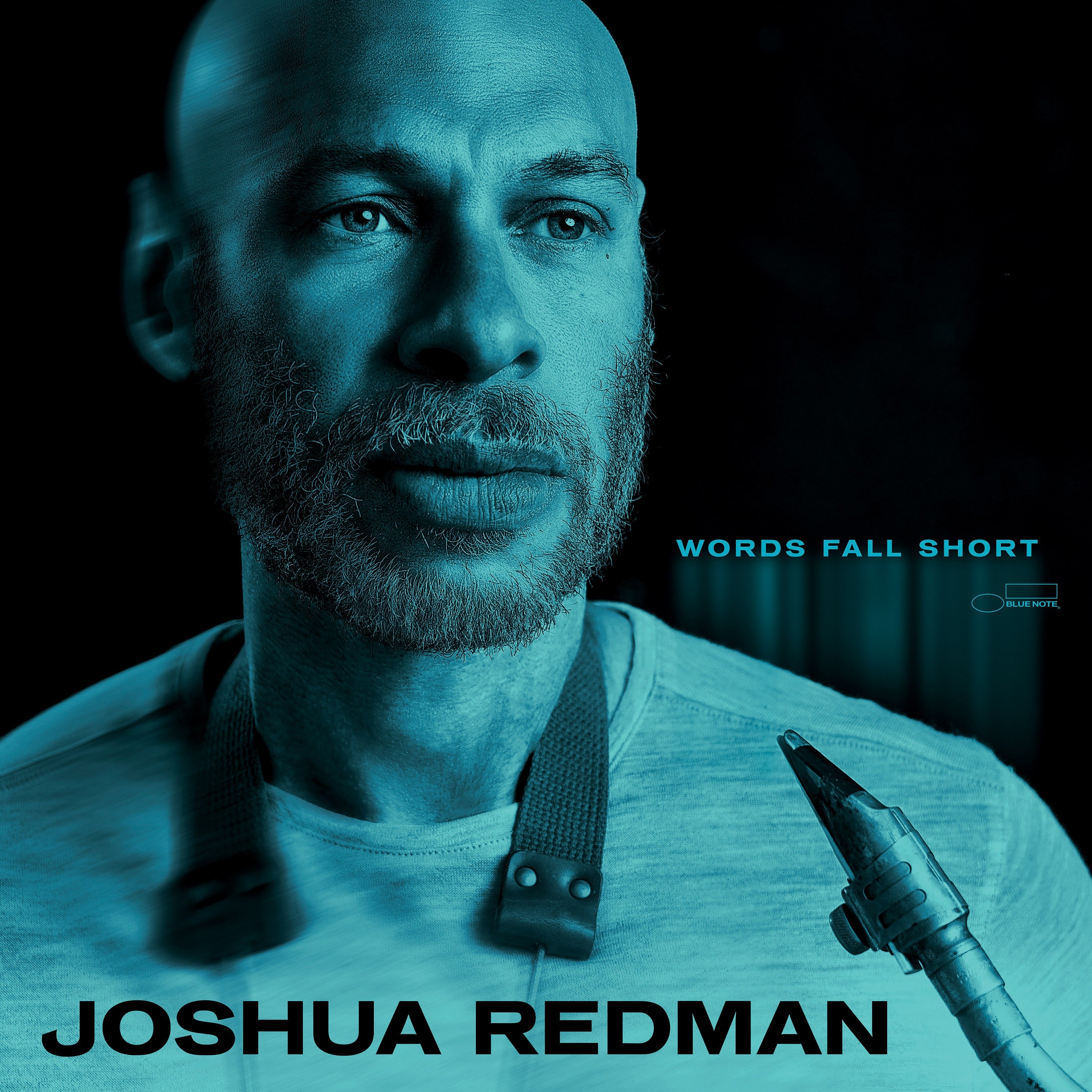 Joshua Redman Words Fall Short LP + Signed Art Card + White Label 408929