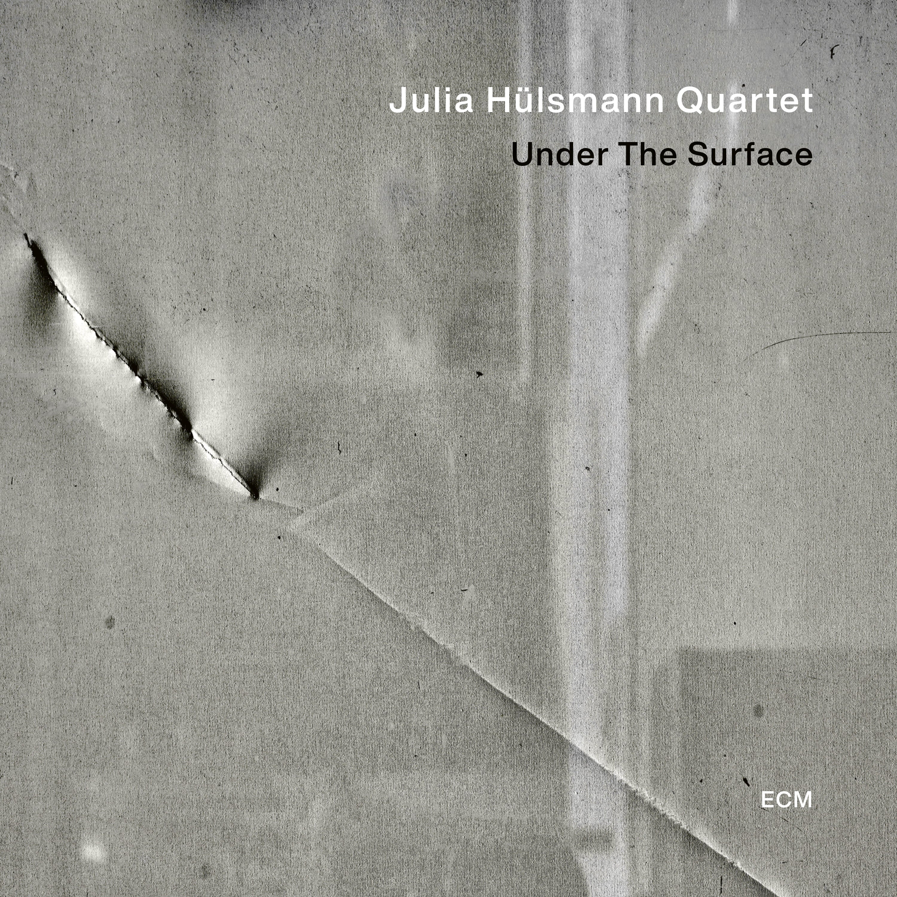 Julia Hülsmann Under The Surface Signierte Vinyl 399025
