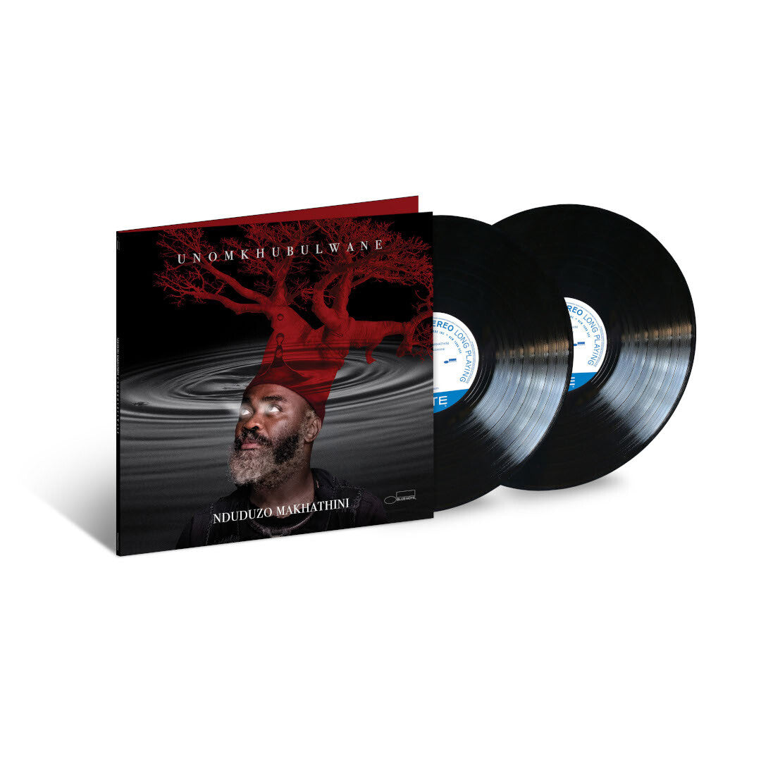 Nduduzo Makhathini uNomkhubulwane 2LP 355046